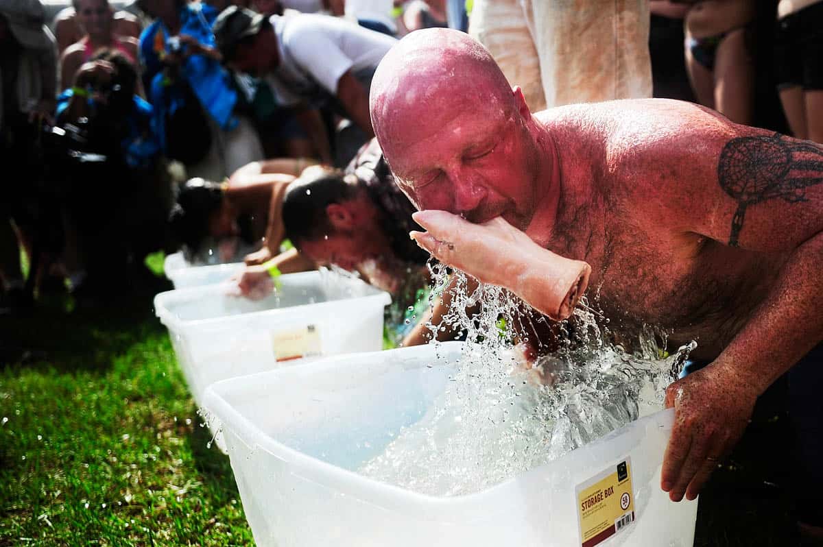 Bobbing For Pigs Feet