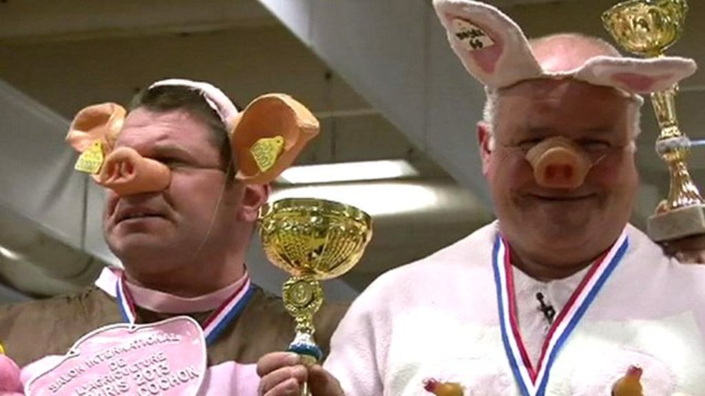 Pig Grunting Imitation