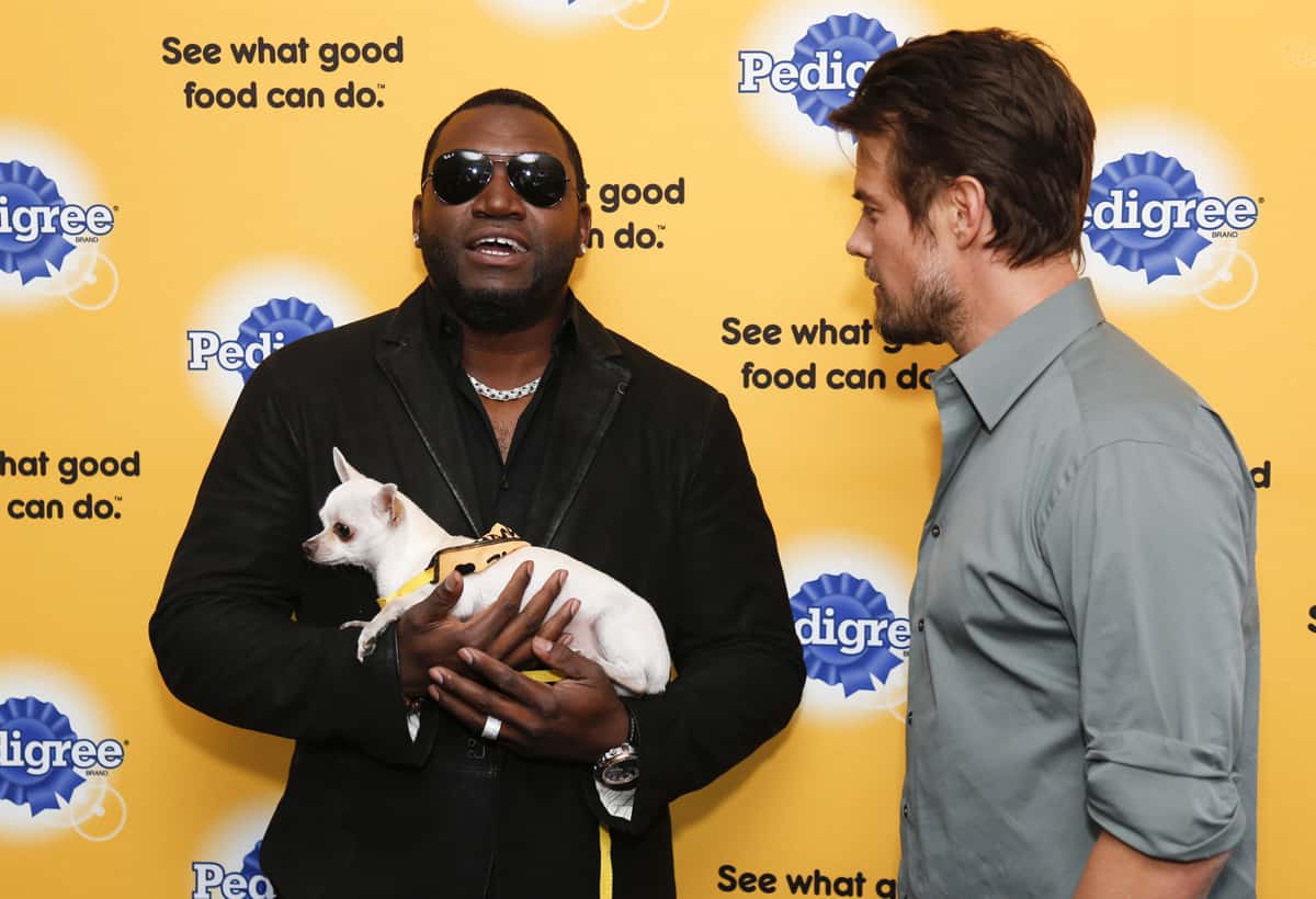 David Ortiz and Happy