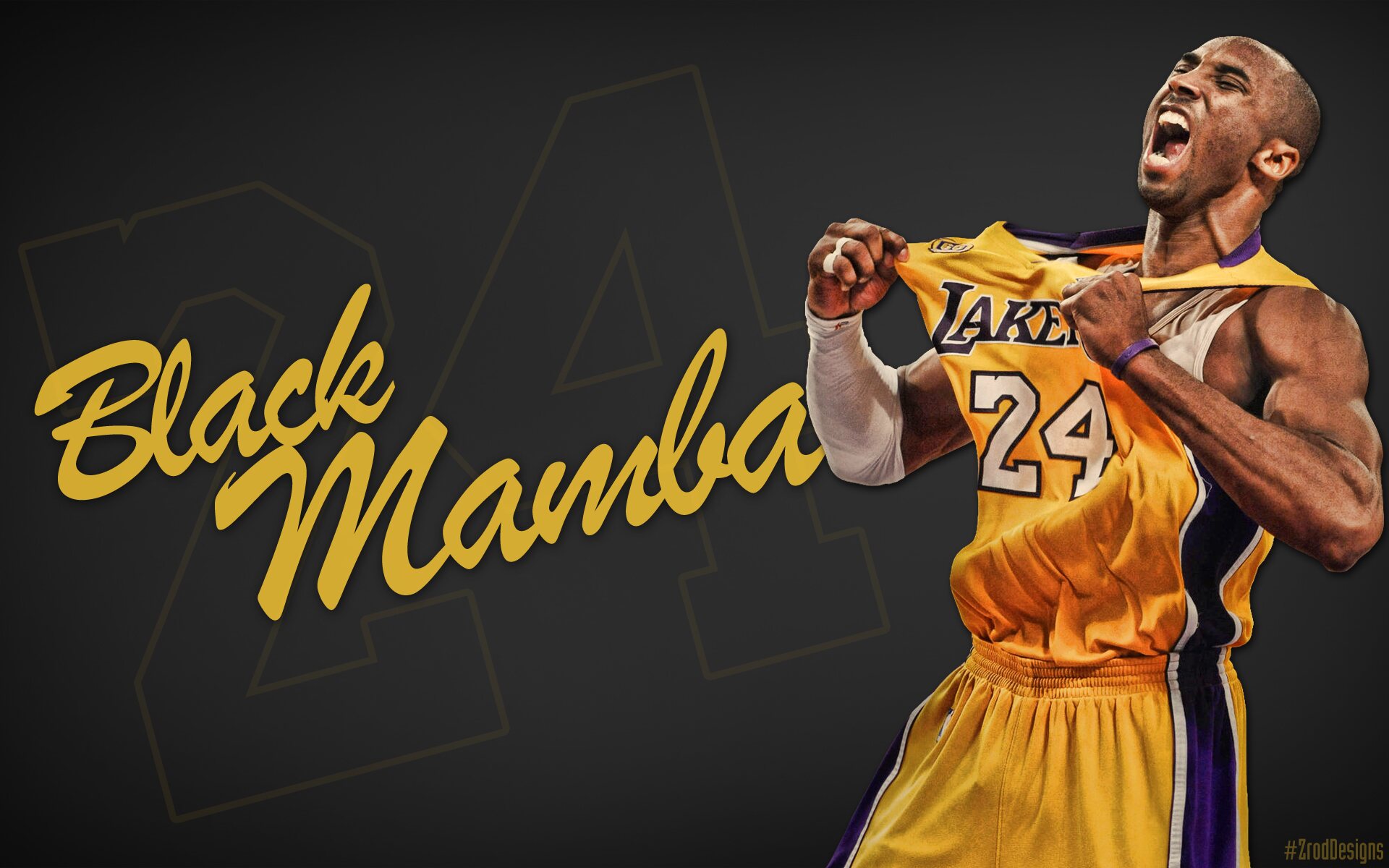 Kobe Bryant 'Black Mamba'