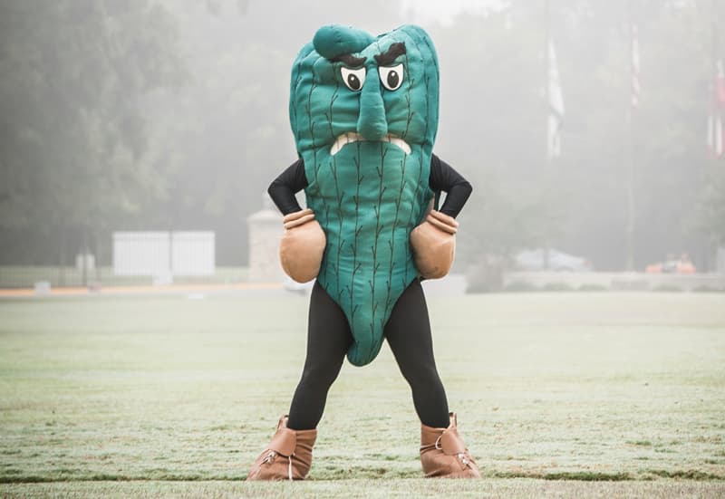 The Fighting Okra D2 Delta State