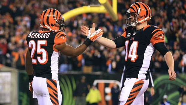 Cincinnati Bengals 2015