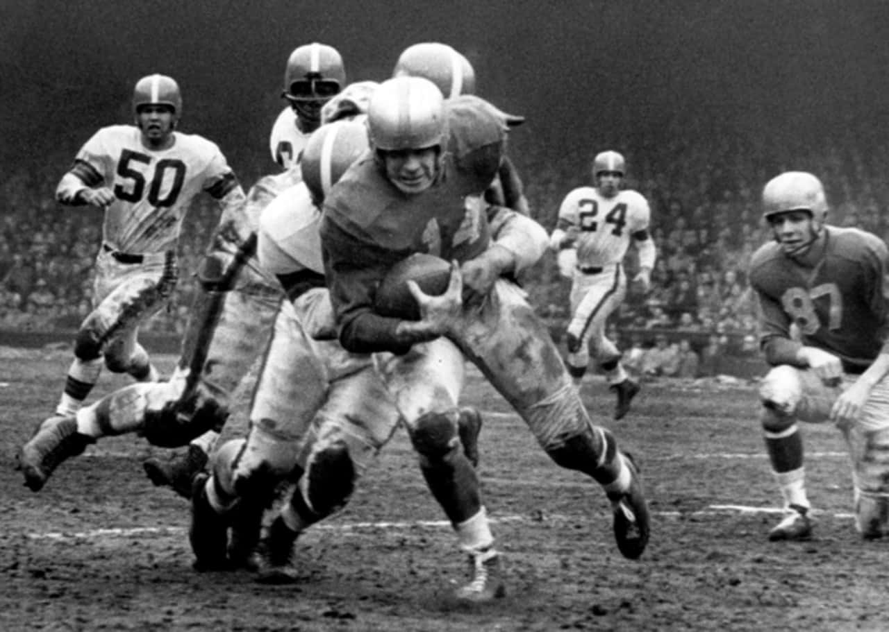 Detroit Lions 1953